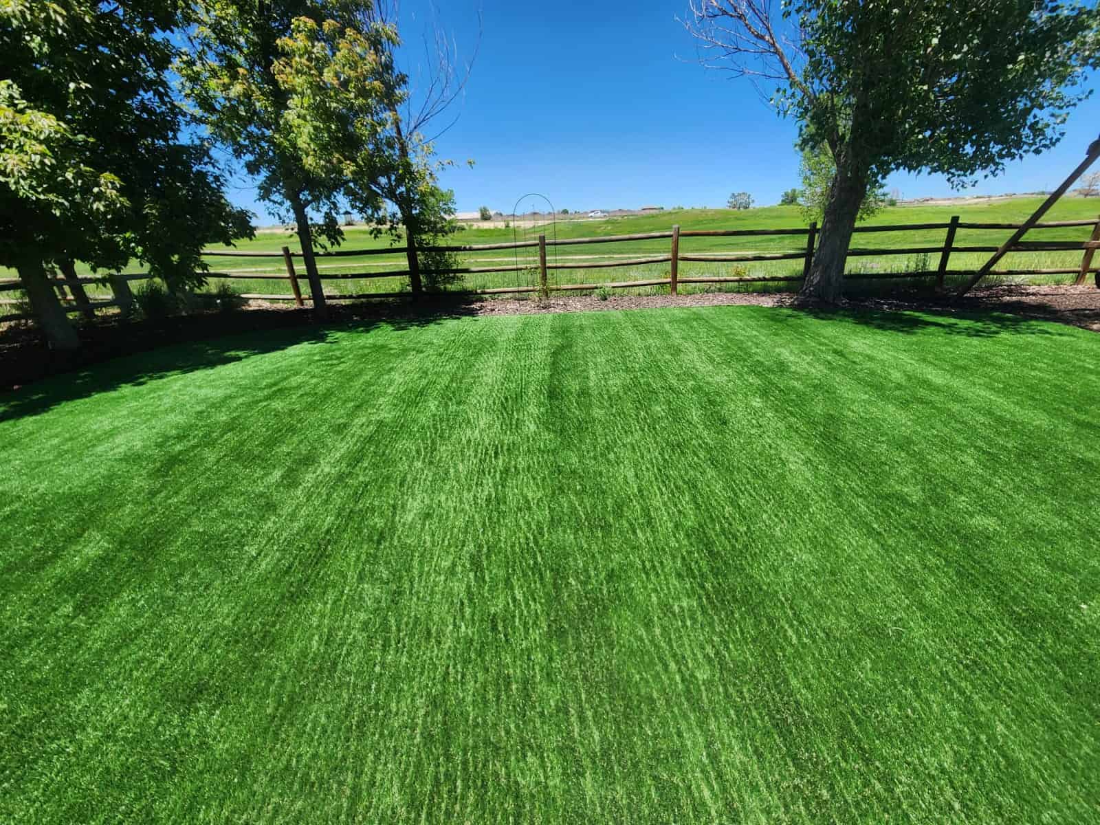 artificial-grass-006.jpeg