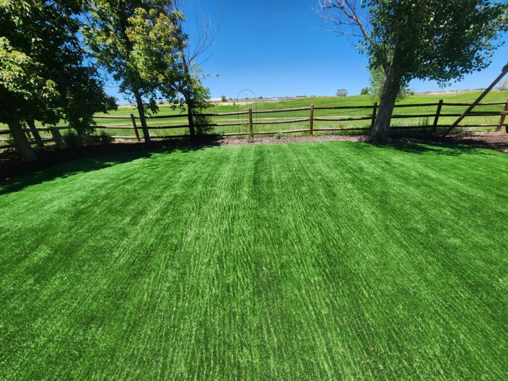 artificial-grass-006.jpeg