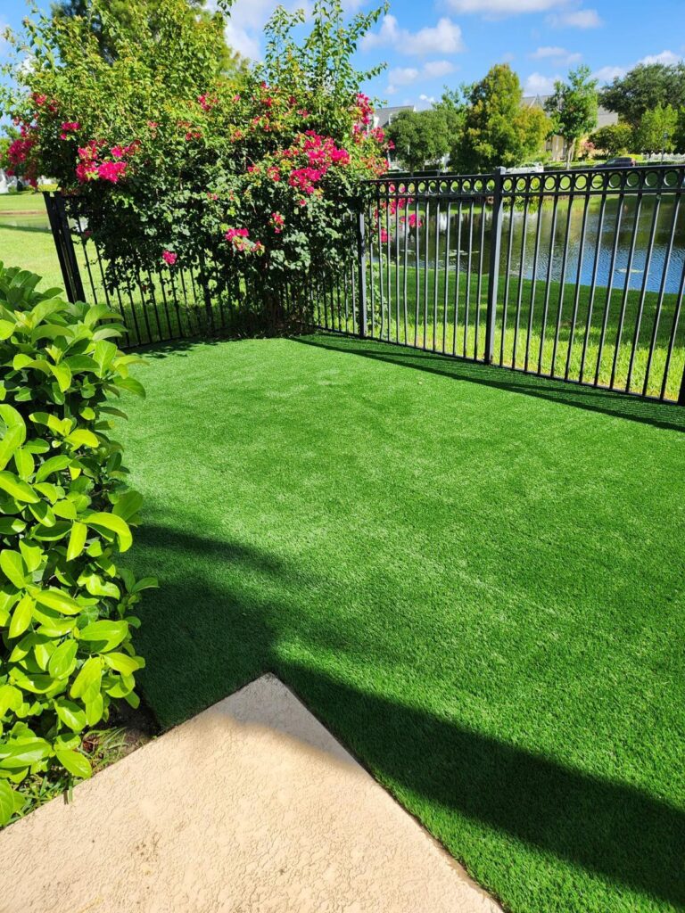 whatsapp image 2024 07 05 at 7.16.46 pm (1)