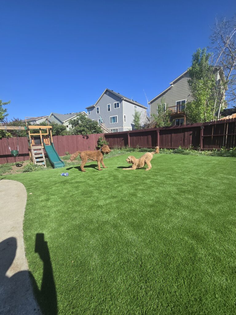 whatsapp image 2025 05 15 at 5.07.03 am 2