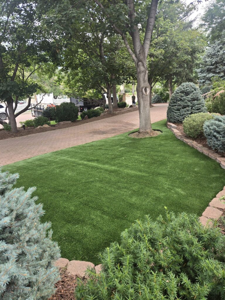 whatsapp image 2025 10 13 at 17.44.57